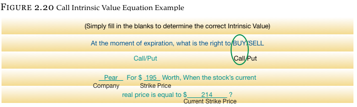 Figure 2.20 Call Intrinsic Value Equation Example